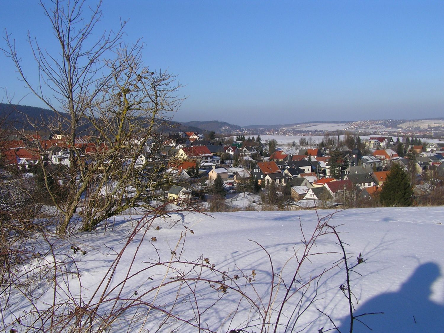 Blick Oehrenstock Winter